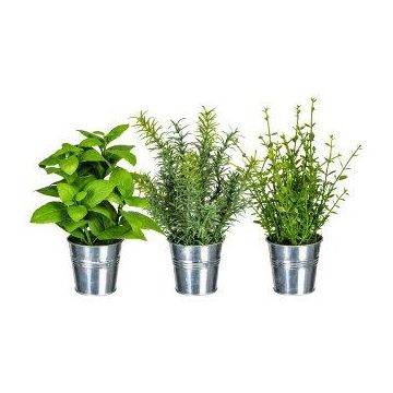 Artificial herb mix DRILHO, basil, rosemary, thyme, 3 pieces, zinc pot, green, 25cm, Ø16cm