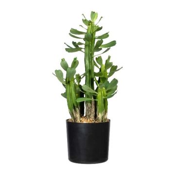 Artificial cactus Euphorbia trigona MANDOR, green, 16"/40cm Artificial cactus Euphorbia trigona MANDOR, green, 16"/40cm