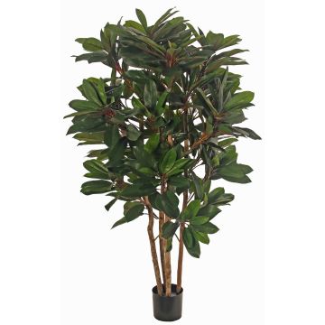 Schefflera artificial plant ZULEIKA, real stems, green, 4ft/120cm Schefflera artificial plant ZULEIKA, real stems, green, 4ft/120cm