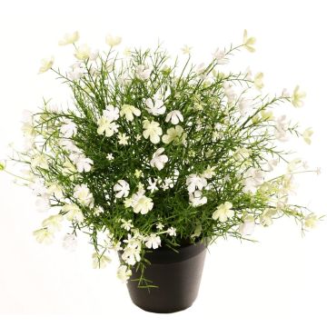 Decorative Impatiens GISINDA in decorative pot, white-green, 16"/40cm Decorative Impatiens GISINDA in decorative pot, white-green, 16"/40cm