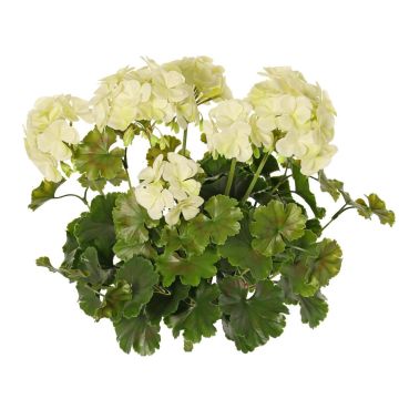 Artificial geranium MALINA on a stem, crossdoor, cream, 40 cm