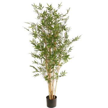 Artificial bamboo plant KEAO, real bamboo canes, 150cm