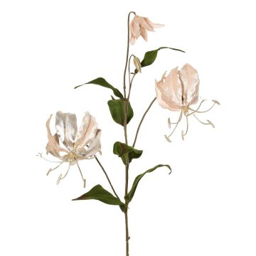 Velvet Gloriosa branch DINFAS, pale pink-gold, 31"/80cm Velvet Gloriosa branch DINFAS, pale pink-gold, 31"/80cm