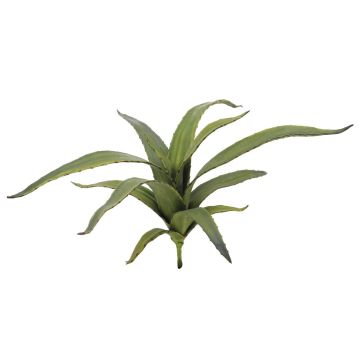 Plastic aloe VERENA, spike crossdoor, green, 26"/65cm, Ø20"/50cm Plastic aloe VERENA, spike crossdoor, green, 26"/65cm, Ø20"/50cm