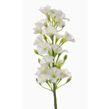 Artificial phlox ALSA, white, 14"/35cm, Ø2.4"/6cm Artificial phlox ALSA, white, 14"/35cm, Ø2.4"/6cm