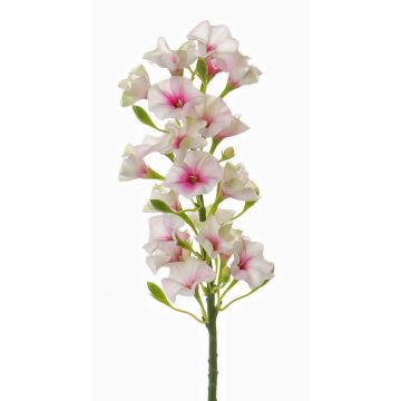 Artificial phlox ALSA, white-pink, 14"/35cm, Ø2.4"/6cm Artificial phlox ALSA, white-pink, 14"/35cm, Ø2.4"/6cm