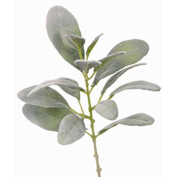 Artificial Woolly hedgenettle spray FERRIS, grey-green, 16"/40cm