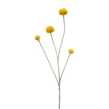 Artificial branch Craspedia RILADA, yellow, 28"/70cm