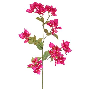 Artificial bougainvillea spray NAJEM with flowers, pink, fuchsia, 31"/80cm, Ø1.2"-1.8"/3-4.5cm Artificial bougainvillea spray NAJEM with flowers, pink, fuchsia, 31"/80cm, Ø1.2"-1.8"/3-4.5cm