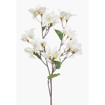 Decorative Bougainvillea MOWLER branch with flowers, cream, 28"/70cm Decorative Bougainvillea MOWLER branch with flowers, cream, 28"/70cm