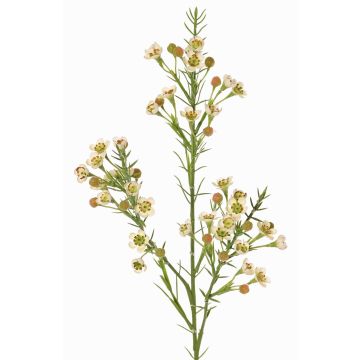 Decorative branch, wax flower FRINDALS, cream, 26"/65cm, Ø0.6"-0.8"/1.5-2cm