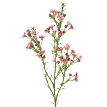 Decorative wax flower branch FRINDALS, dark pink, 26"/65cm, Ø0.6"-0.8"/1.5-2cm Decorative wax flower branch FRINDALS, dark pink, 26"/65cm, Ø0.6"-0.8"/1.5-2cm