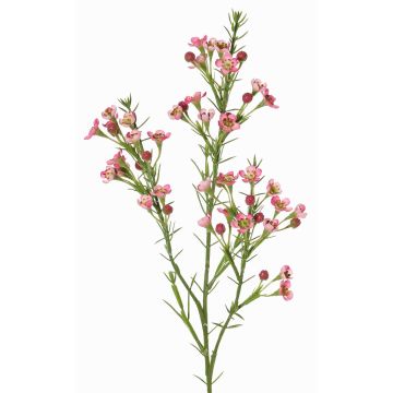 Decorative wax flower branch FRINDALS, dark pink, 26"/65cm, Ø0.6"-0.8"/1.5-2cm