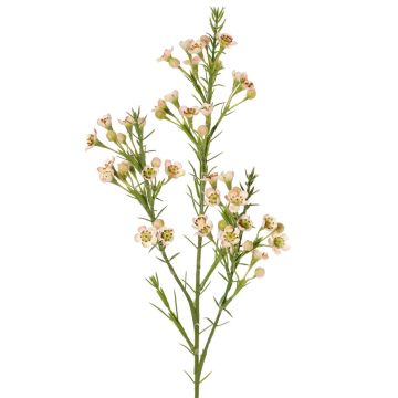 Decorative branch, wax flower FRINDALS, light pink-white, 65cm, Ø1.5–2cm