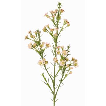 Decorative branch, wax flower FRINDALS, light pink-white, 26"/65cm, Ø0.6"-0.8"/1.5-2cm
