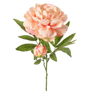 Artificial peony WARDUAN, Eco Collection, salmon, 65cm, Ø15cm