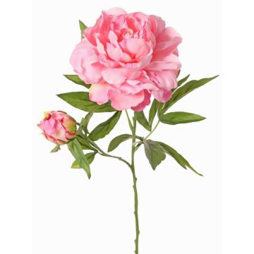 Artificial peony WARDUAN, Eco Collection, pink, 26"/65cm, Ø5.9"/15cm Artificial peony WARDUAN, Eco Collection, pink, 26"/65cm, Ø5.9"/15cm