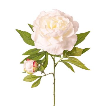 Artificial peony WARDUAN, Eco Collection, white, 65cm, Ø15cm