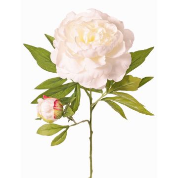 Artificial peony WARDUAN, Eco Collection, white, 26"/65cm, Ø5.9"/15cm Artificial peony WARDUAN, Eco Collection, white, 26"/65cm, Ø5.9"/15cm