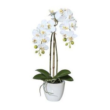 Artificial Phalaenopsis orchid LARKEN in a ceramic pot, roots, white, 45cm