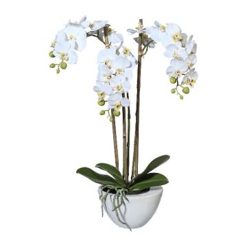 Artificial Phalaenopsis orchid LARKEN in a ceramic bowl, roots, white, 20"/50cm Artificial Phalaenopsis orchid LARKEN in a ceramic bowl, roots, white, 20"/50cm