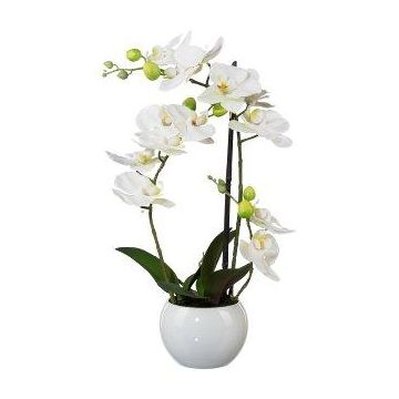 Artificial Phalaenopsis orchid INAKES, ceramic pot, roots, white, 16"/40cm