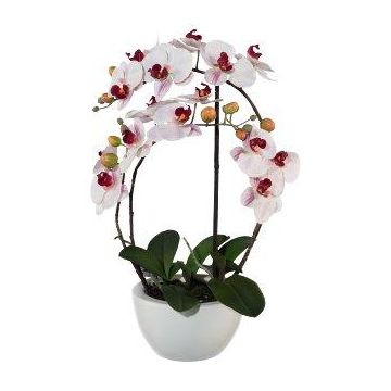 Artificial Phalaenopsis orchid INAKES, ceramic pot, roots, pink-white, 20"/50cm