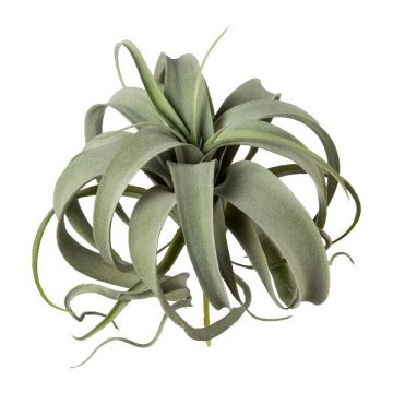 Artificial succulent Tillandsia xerographica TRUMSY, spike, green, 11"/28cm, Ø10"/25cm
