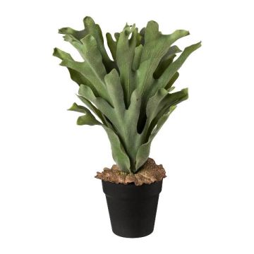 Fake plant: FROHEL staghorn fern, decorative pot, green, 18"/45cm Fake plant: FROHEL staghorn fern, decorative pot, green, 18"/45cm