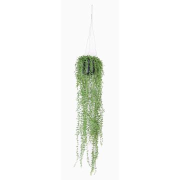 Fake senecio COSIMA, in decorative pot, green, 28"/70cm