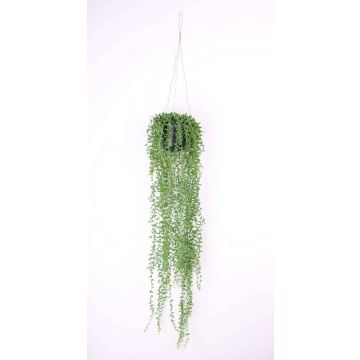Fake senecio COSIMA, in decorative pot, green, 28"/70cm