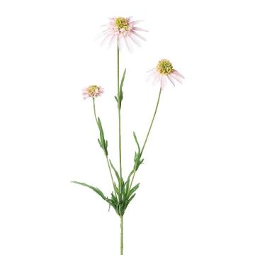 Decorative branch Coneflower KAELY, light pink, 26"/65cm Decorative branch Coneflower KAELY, light pink, 26"/65cm