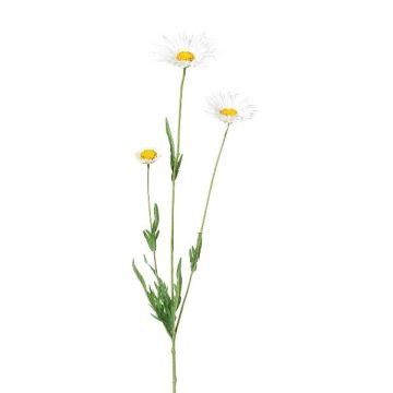 Artificial daisy branch FRUHIL, white, 65 cm