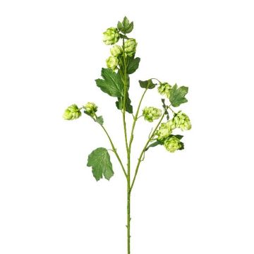 Artificial hop branch DRIHOL with flowers, green, 75 cm