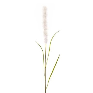 Artificial pampas grass panicle JARME, white, 3ft/100cm