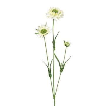 Decorative branch Scabiosa ATLENTO, white, 26"/65cm