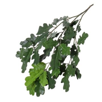 Decorative oak branch KALLI, crossdoor, 28"/70cm Decorative oak branch KALLI, crossdoor, 28"/70cm