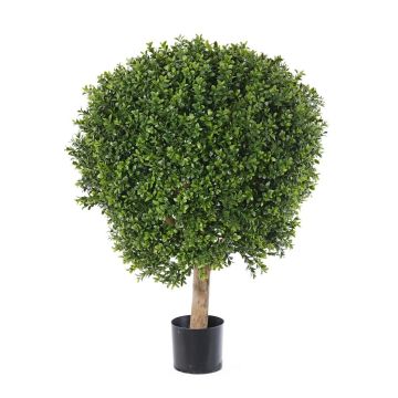 Artificial boxwood TOM, natural trunk, crossdoor, 80cm, Ø60cm Artificial boxwood TOM, natural trunk, crossdoor, 80cm, Ø60cm