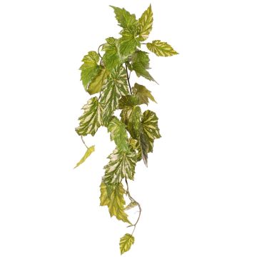Artificial plant: Begonia palmata OANFIR, stake, hanging, green, 35"/90cm