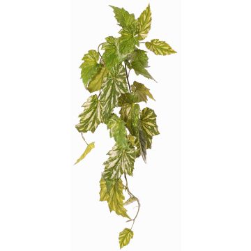 Artificial plant: Begonia palmata OANFIR, stake, hanging, green, 35"/90cm