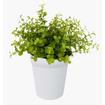 Fake eucalyptus JOSHUA, in a ceramic pot, green, 8"/20cm, Ø7"/17cm Fake eucalyptus JOSHUA, in a ceramic pot, green, 8"/20cm, Ø7"/17cm