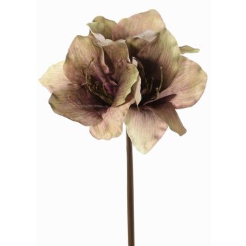 Artificial amaryllis SARDUAN, green-pink, 26"/65cm, Ø3.9"/10cm Artificial amaryllis SARDUAN, green-pink, 26"/65cm, Ø3.9"/10cm