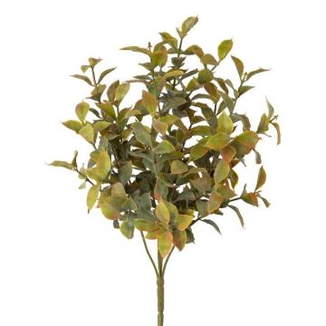 Artificial plant Butcher's broom BUNSA, spike, green, 14"/35cm