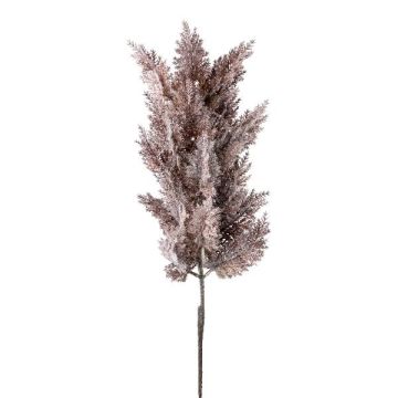 Decorative branch Pampas grass PANCHE with panicle, aubergine, 3ft/90cm