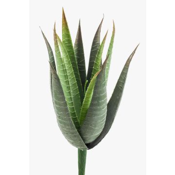 False aloe MARTINEZ, on spike, green, 12"/30cm, Ø7"/17cm False aloe MARTINEZ, on spike, green, 12"/30cm, Ø7"/17cm