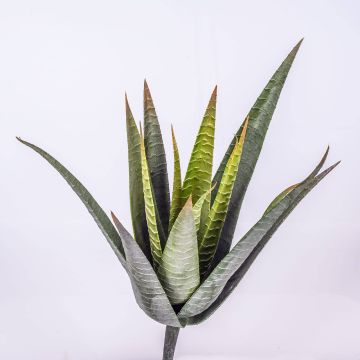 False aloe MARTINEZ, on spike, green, 12"/30cm, Ø7"/17cm