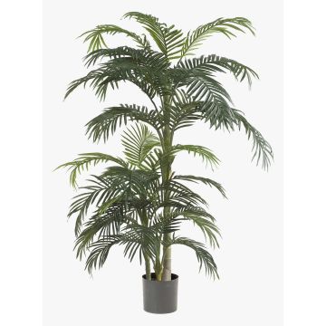 Fake Areca palm CAMYRA, 6ft/170cm