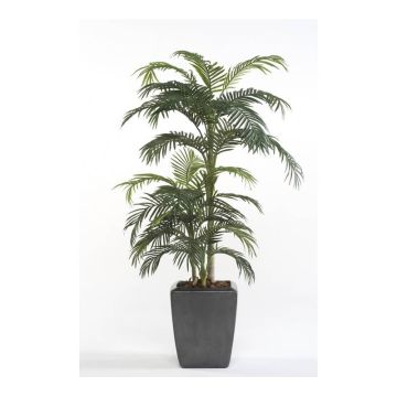 Fake Areca palm CAMYRA, 6ft/170cm Fake Areca palm CAMYRA, 6ft/170cm