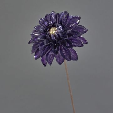 False dahlia LEOLANI, glamour-dark purple-electrum, 24"/60cm