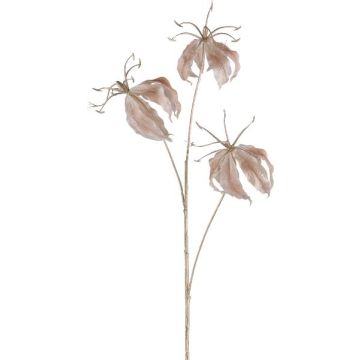 Decorative branch Gloriosa BRONVIL, beige, 33"/85cm